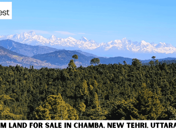 Premium Land for Sale in Chamba, New Tehri, Uttarakhand 5 Scenic Hill Investment