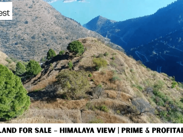 21 Nali Land for Sale – Himalaya View | Prime & Profitable Hill