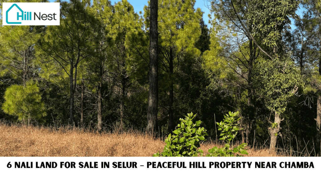 7 Best Nali Land in Tehri | Price, Meaning & Investment Options