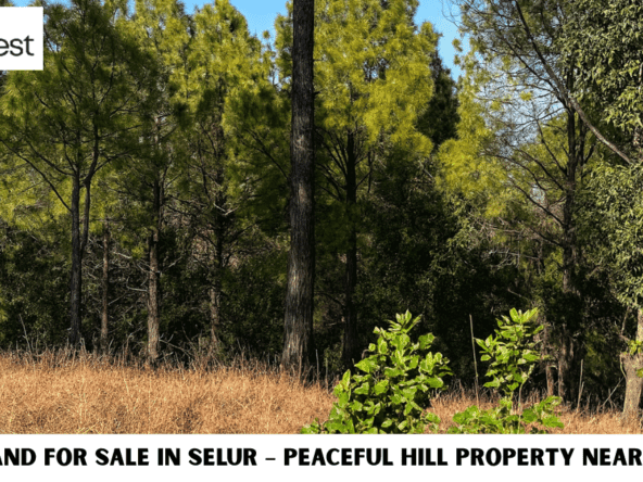 7 Best Nali Land in Tehri | Price, Meaning & Investment Options