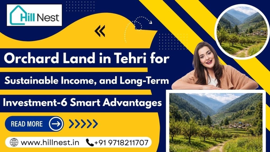 Orchard Land in Tehri for Sustainable Income, and Long-Term Investment-6 Smart Advantages 1 Orchard Land in Tehri