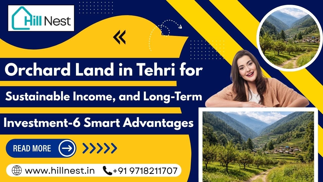 Orchard Land in Tehri for Sustainable Income, and Long-Term Investment-6 Smart Advantages 1 Orchard Land in Tehri