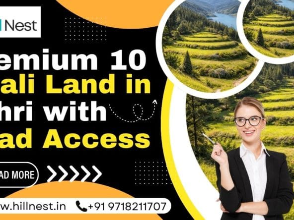 10 Naali Land in Tehri